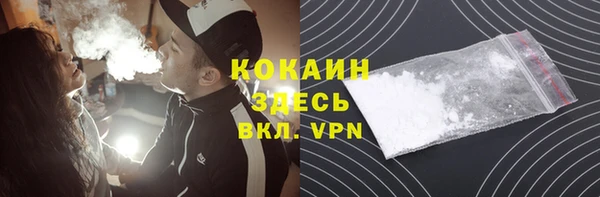 твердый Абаза