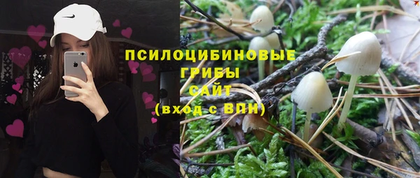 твердый Абаза