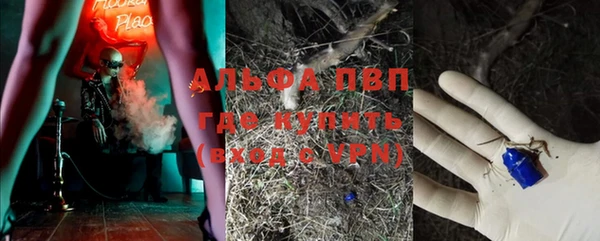 твердый Абаза
